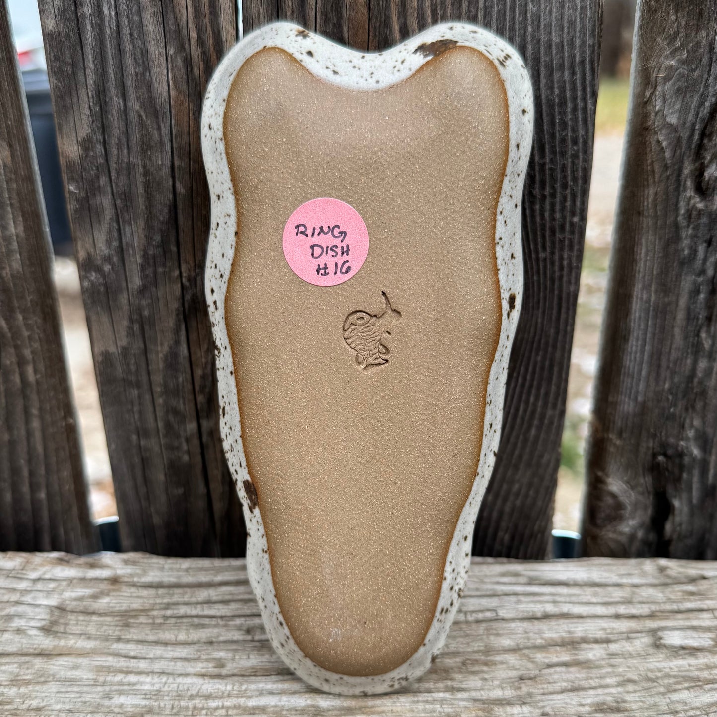 2025 RING DISH #16 - Appy Horse