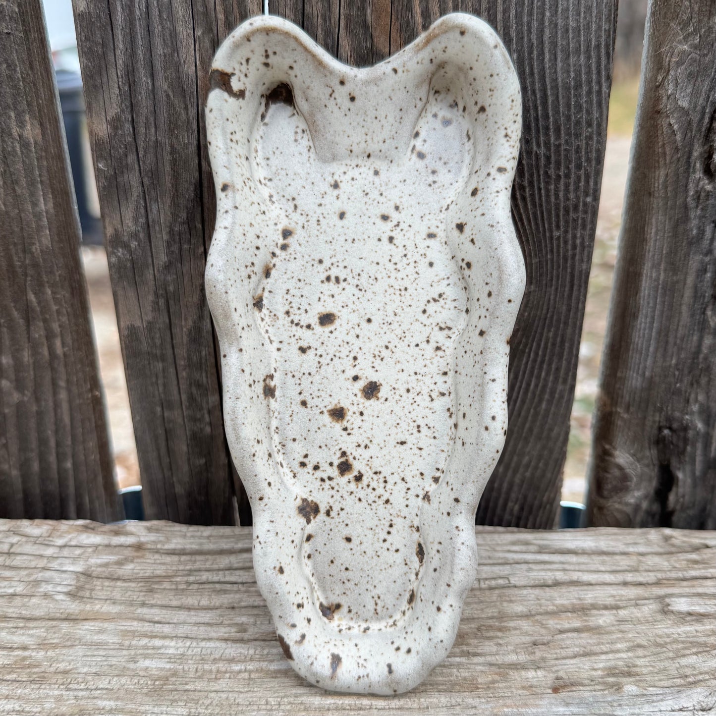 2025 RING DISH #16 - Appy Horse