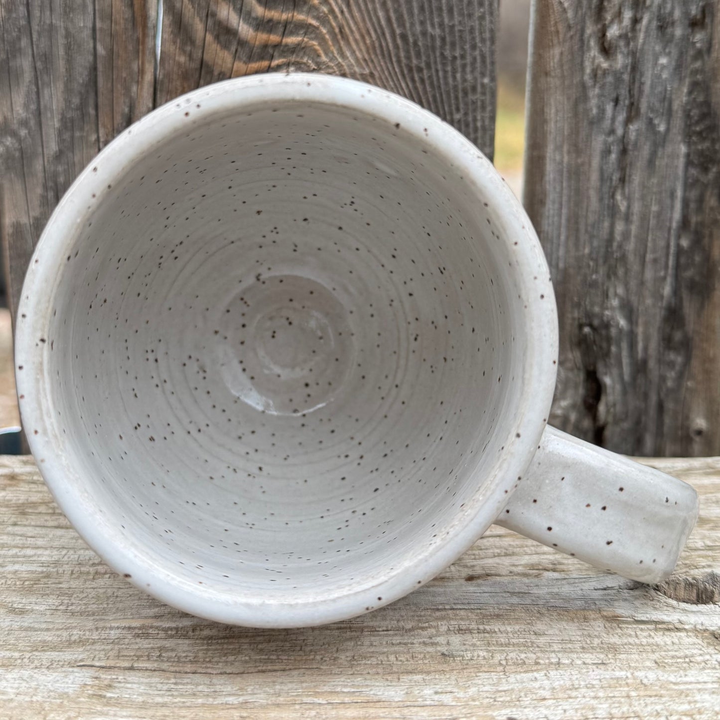 2025 MUG #90 - White Chicken