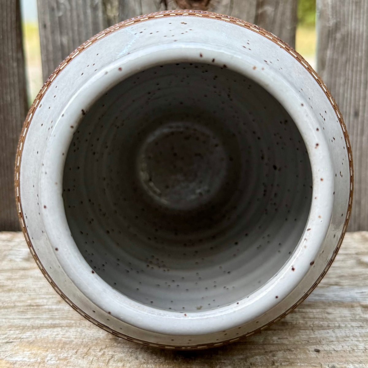2026 VASE #13 - White Whitetail Buck