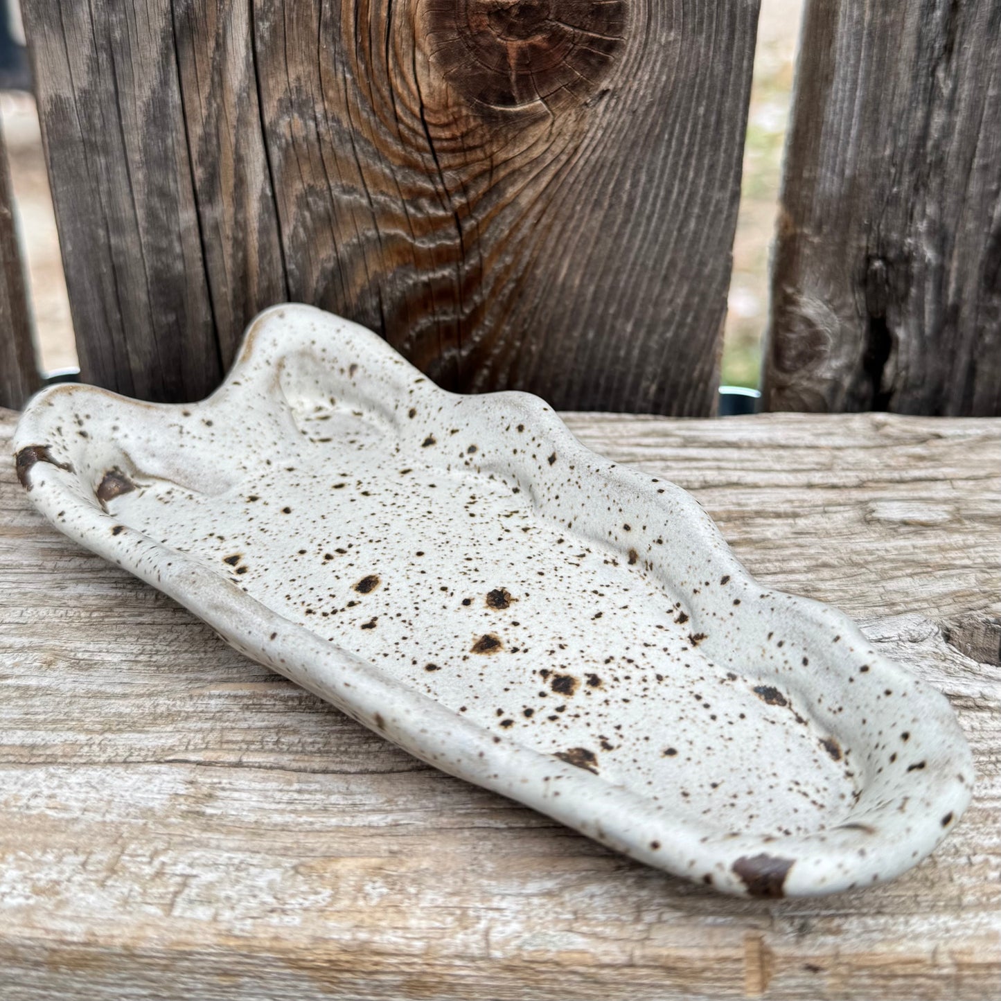 2025 RING DISH #16 - Appy Horse