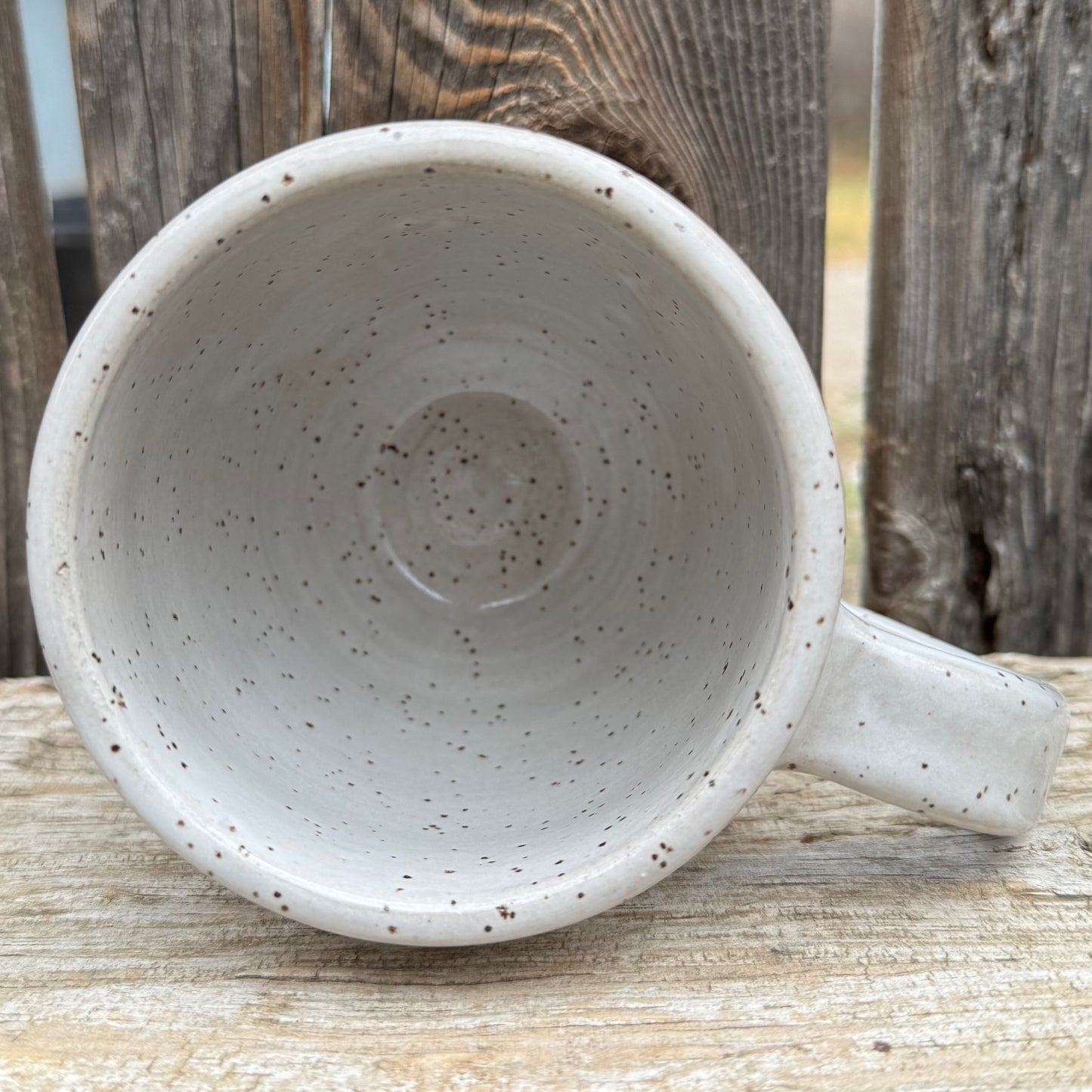 2025 MUG #92 - White Indian Paintbrush